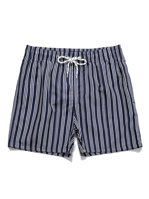 Striped Print Swim Shorts