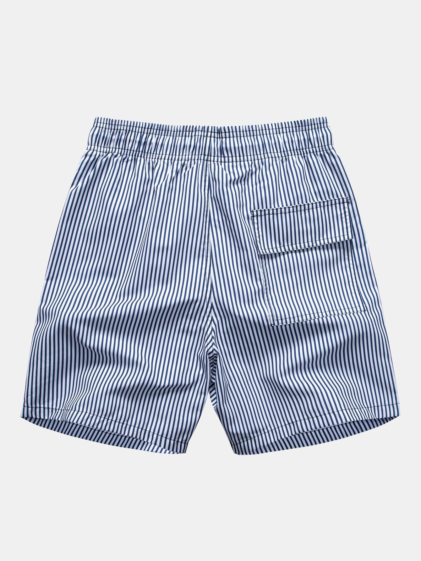 Stripe Print Swim Shorts