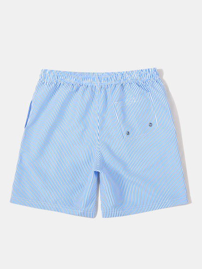 Vertical Striped Drawstring Swim Shorts