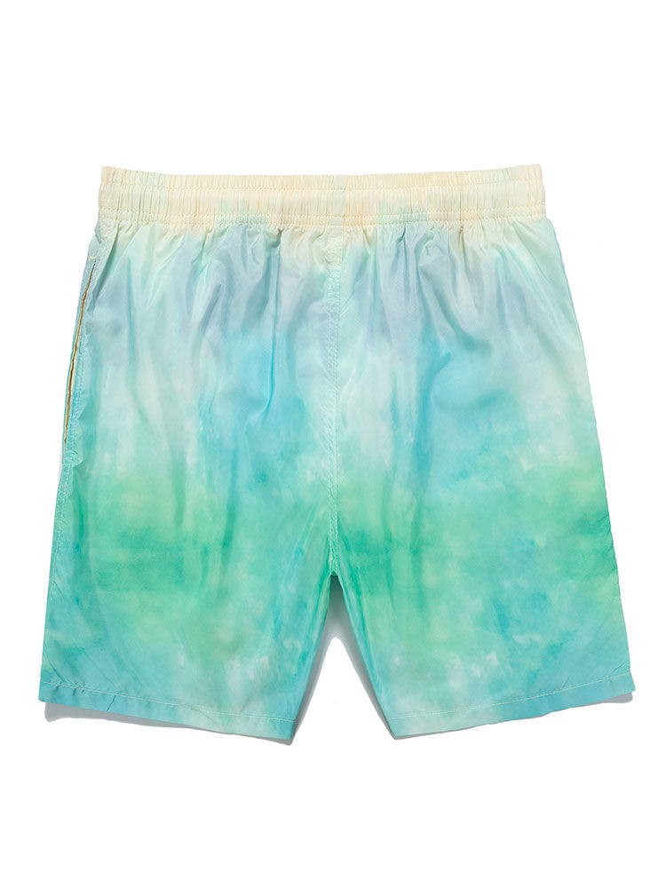 Ombre Print Swim Shorts
