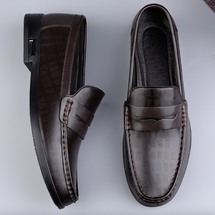 Leonel Men's Loafer Shoes