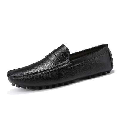 Roger Men's Loafer Shoes