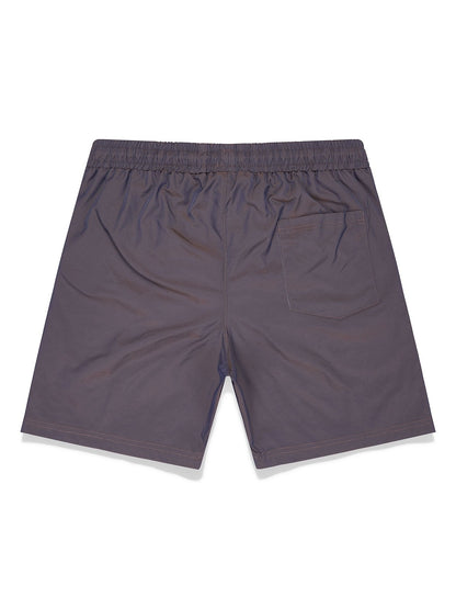 Stormy Iridescent Swim Shorts