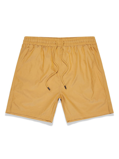 Stormy Iridescent Swim Shorts