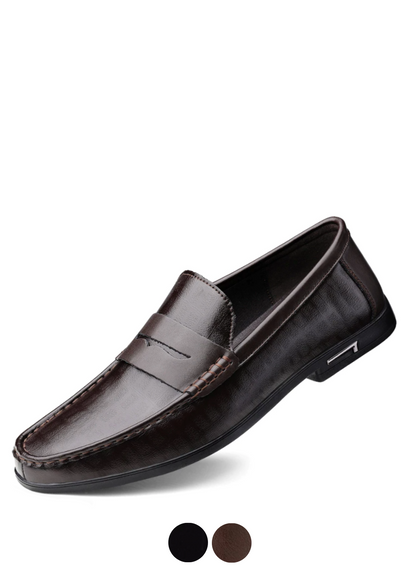 Leonel Men's Loafer Shoes